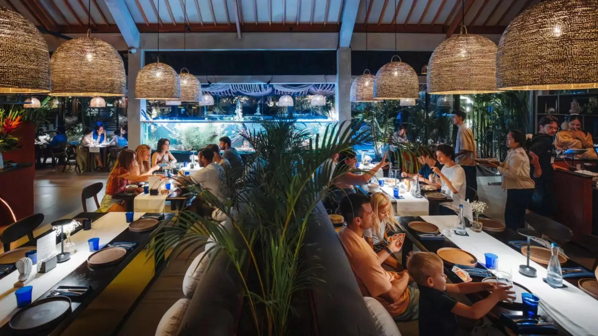 Nautilus Ubud